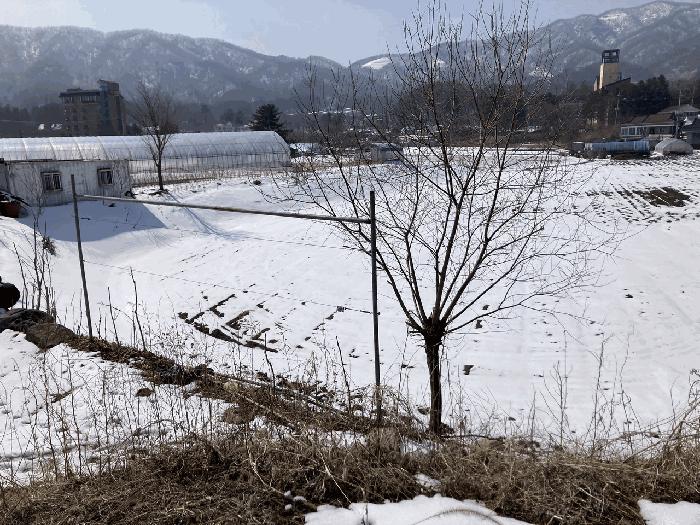 강원특별자치도 평창군 봉평면 무이리 804-9 답 경매 사진 2