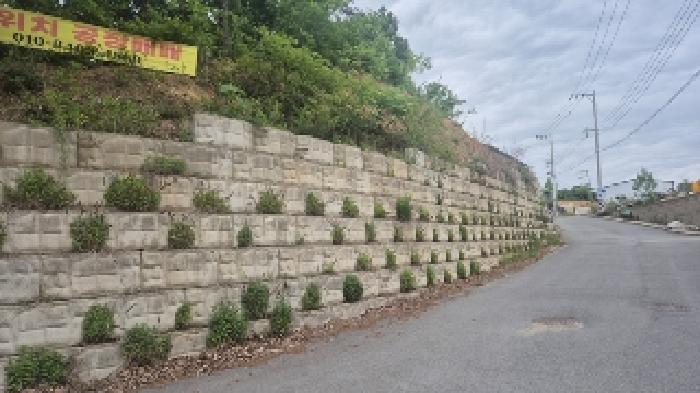 충청남도 천안시 동남구 목천읍 소사리 244-21 공장 경매 사진 28