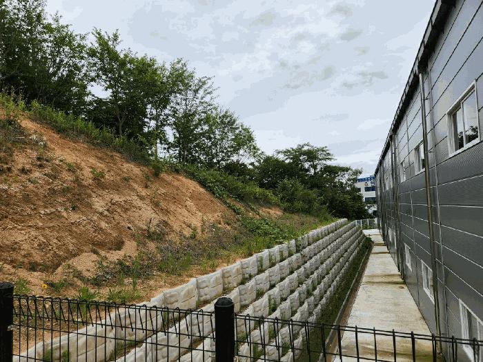 충청남도 천안시 동남구 목천읍 소사리 244-21 공장 경매 사진 3