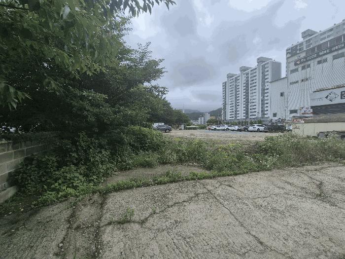 충청남도 천안시 서북구 과수원
