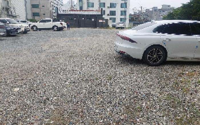 충청남도 천안시 서북구 성거읍 천흥리 453 과수원 경매 사진 10