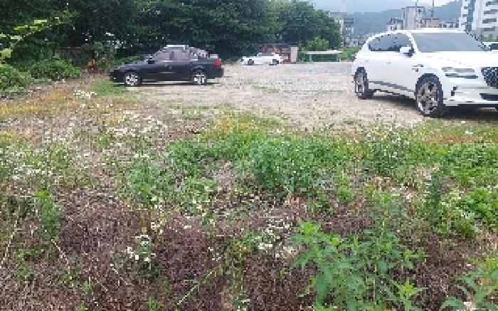 충청남도 천안시 서북구 성거읍 천흥리 453 과수원 경매 사진 19