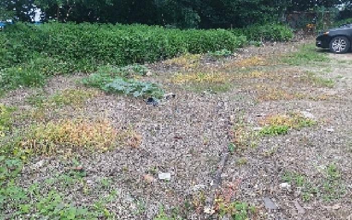 충청남도 천안시 서북구 성거읍 천흥리 453 과수원 경매 사진 21