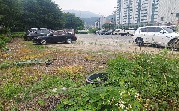 충청남도 천안시 서북구 성거읍 천흥리 453 과수원 경매 사진 22