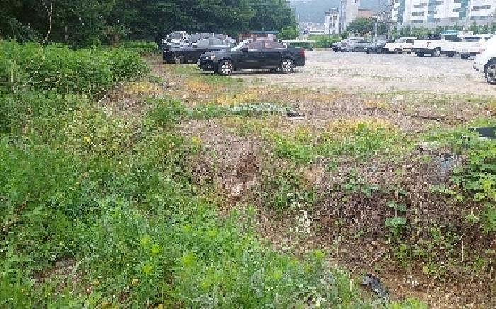 충청남도 천안시 서북구 성거읍 천흥리 453 과수원 경매 사진 23