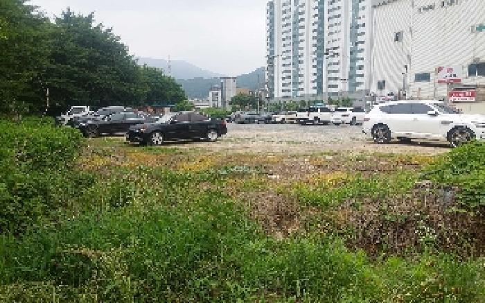 충청남도 천안시 서북구 성거읍 천흥리 453 과수원 경매 사진 24