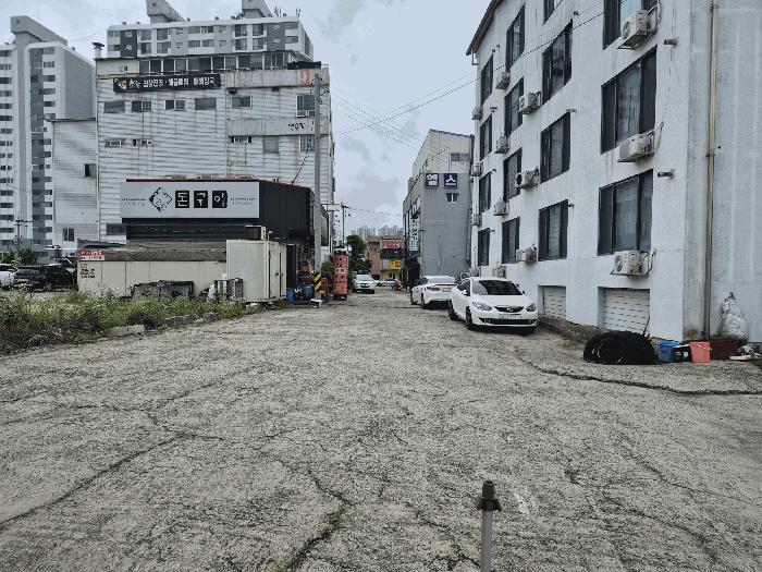 충청남도 천안시 서북구 성거읍 천흥리 453 과수원 경매 사진 4