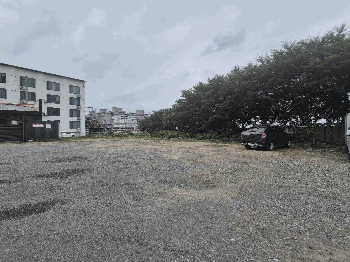 충청남도 천안시 서북구 성거읍 천흥리 453 과수원 경매 사진 6