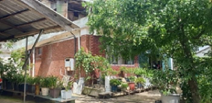 충청남도 홍성군 홍성읍 월산리 85-1 전 경매 사진 2