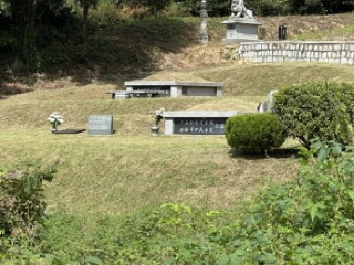충청북도 증평군 도안면 석곡리 392 전 경매 사진 5
