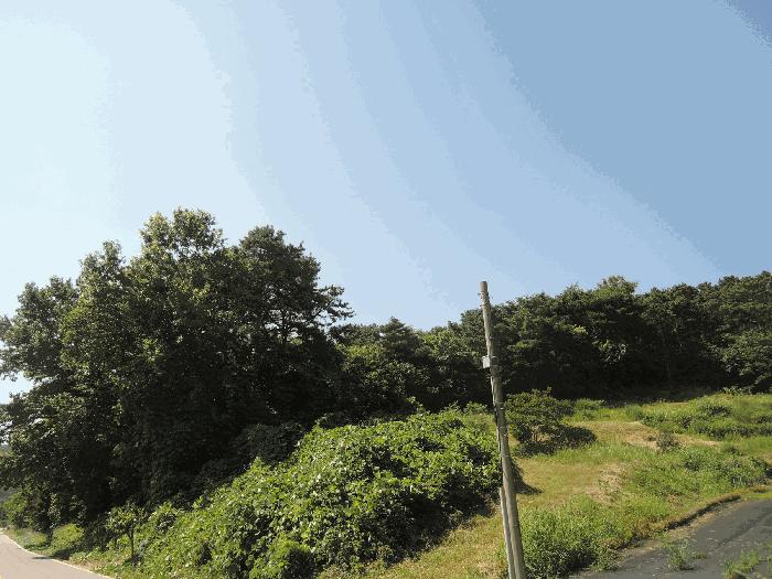 충청남도 홍성군 임야