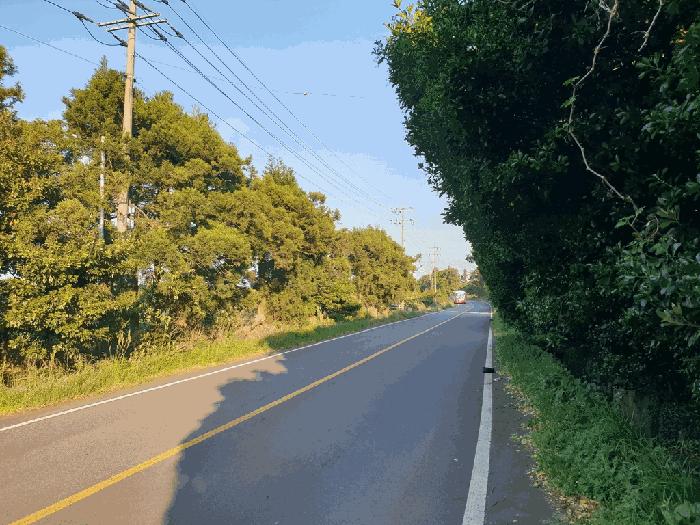제주특별자치도 제주시 구좌읍 세화리 3634 목장용지 경매 사진 2