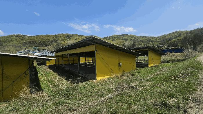 충청북도 영동군 용산면 가곡리 430-5 창고 경매 사진 11