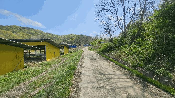 충청북도 영동군 황간면 회포리 252-2 창고 경매 사진 5