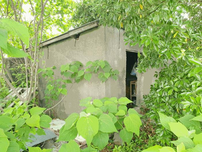 제주특별자치도 서귀포시 남원읍 하례리 121-3 과수원 경매 사진 1