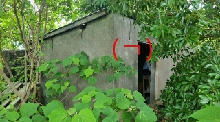 제주특별자치도 서귀포시 남원읍 하례리 121-3 과수원 경매 사진 12