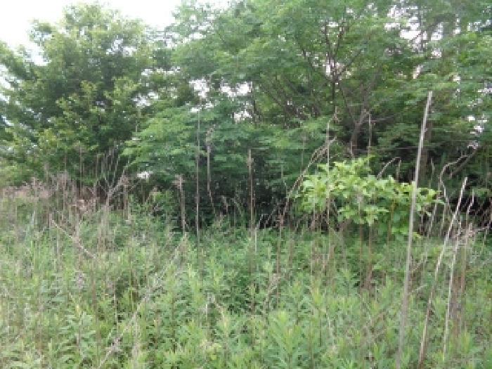 제주특별자치도 제주시 오등동 1487-4 전 경매 사진 11