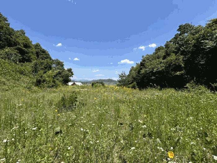 충청북도 영동군 심천면 고당리 380-4 전 경매 사진 1