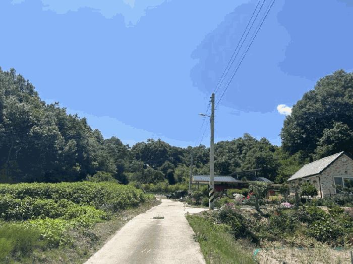 충청북도 영동군 심천면 고당리 380-4 전 경매 사진 2