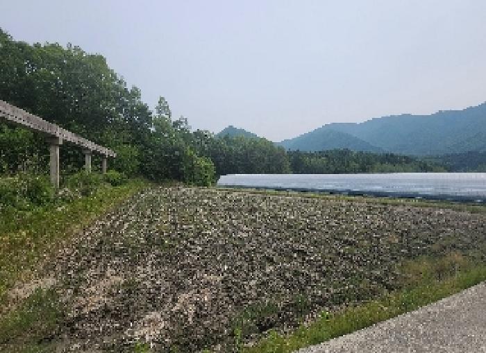 충청북도 영동군 매곡면 공수리 424 답 경매 사진 11