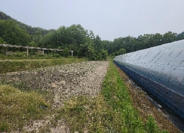 충청북도 영동군 매곡면 공수리 424 답 경매 사진 12