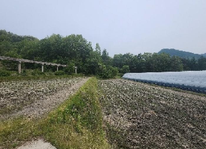 충청북도 영동군 매곡면 공수리 424 답 경매 사진 14
