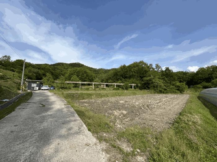 충청북도 영동군 매곡면 공수리 424 답 경매 사진 6