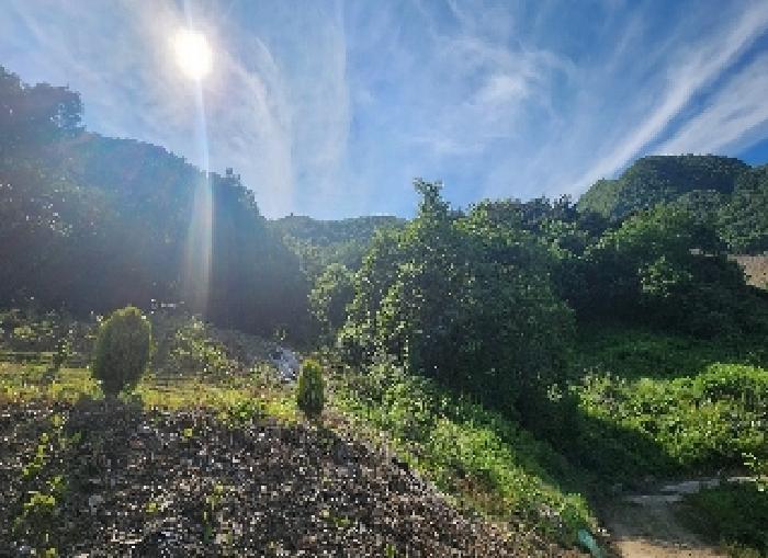 충청북도 옥천군 안내면 서대리 75-3 전 경매 사진 6