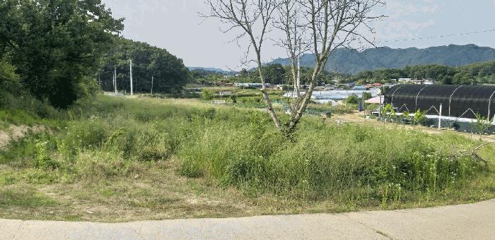 충청북도 옥천군 전