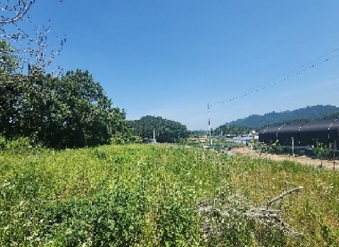 충청북도 옥천군 동이면 금암리 1099-2 전 경매 사진 5