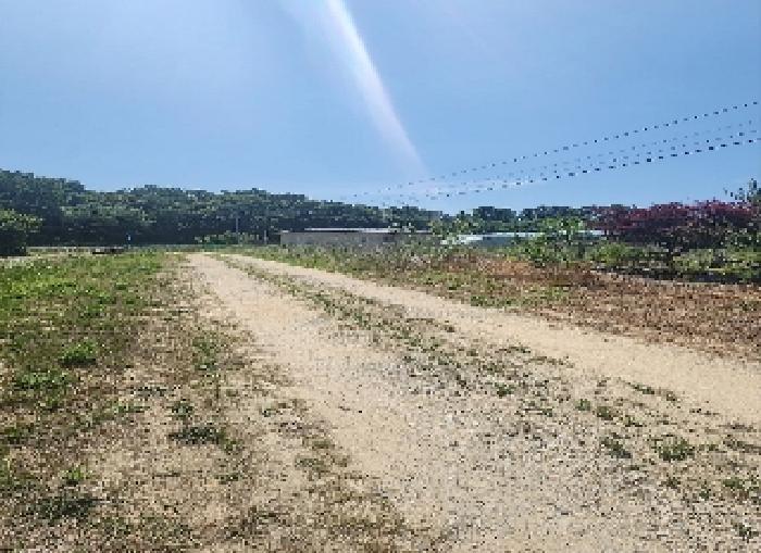 충청북도 옥천군 동이면 금암리 1099-2 전 경매 사진 6