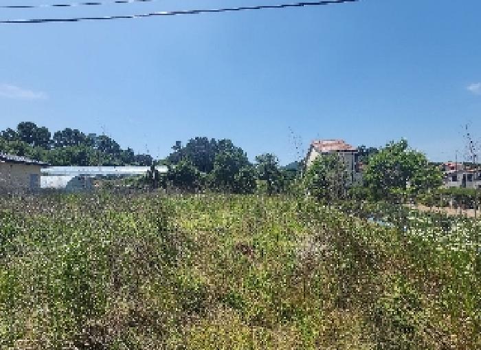 충청북도 옥천군 동이면 금암리 1099-2 전 경매 사진 7