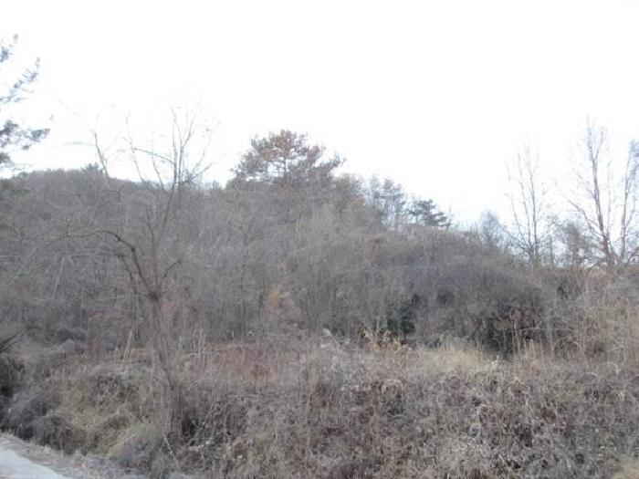 경상북도 상주시 낙동면 장곡리 634 답 경매 사진 3