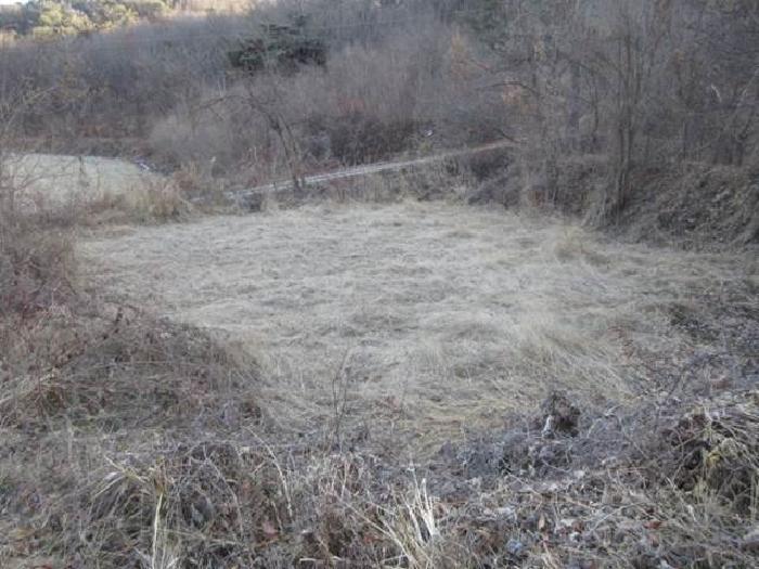 경상북도 상주시 낙동면 장곡리 634 답 경매 사진 4