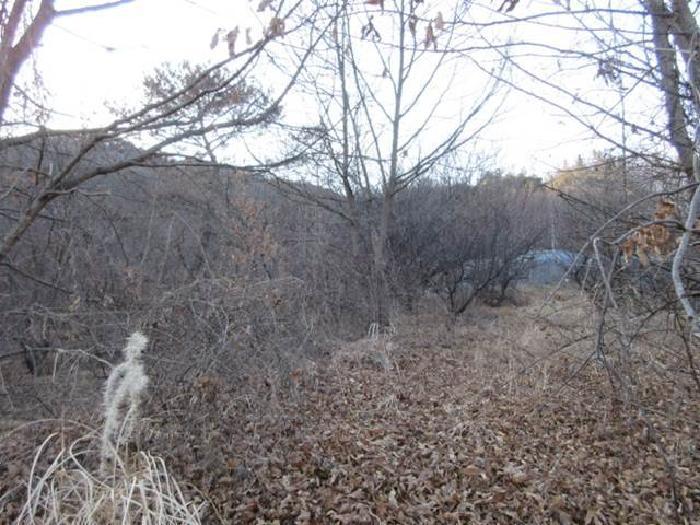 경상북도 상주시 낙동면 장곡리 634 답 경매 사진 7