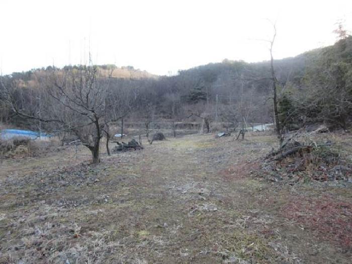 경상북도 상주시 낙동면 장곡리 630 답 경매 사진 2