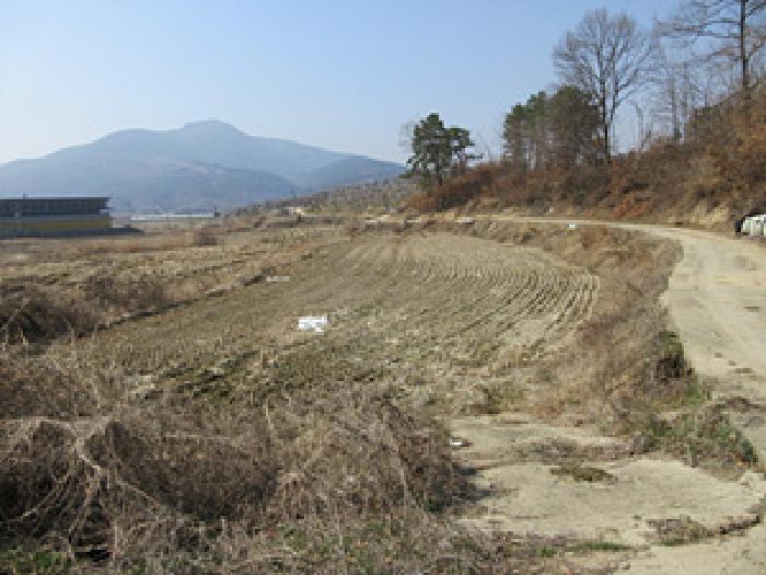 경상북도 예천군 지보면 지보리 744-2 전 경매 사진 2