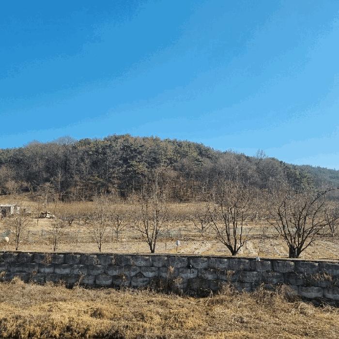경상북도 상주시 낙동면 상촌리 산32-8 임야 경매 사진 18