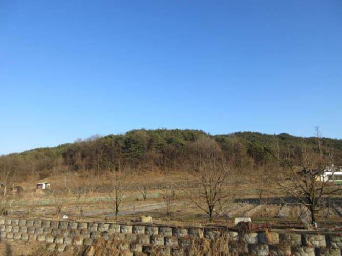 경상북도 상주시 낙동면 상촌리 산32-8 임야 경매 사진 5