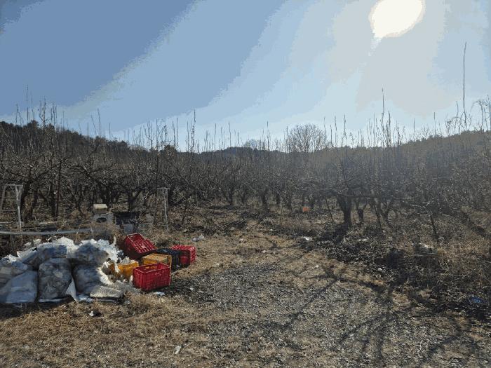 경상북도 상주시 공검면 오태리 59-8 과수원 경매 사진 1