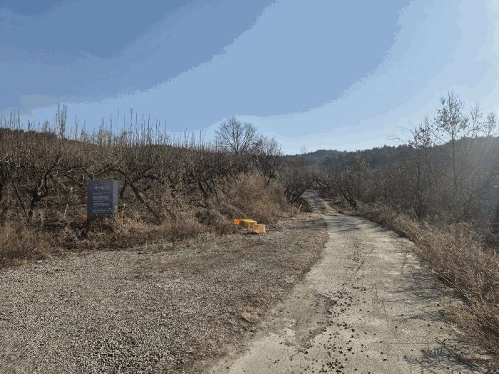 경상북도 상주시 공검면 오태리 59-8 과수원 경매 사진 2