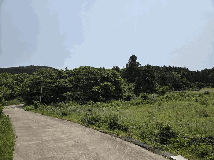 제주특별자치도 제주시 조천읍 선흘리 475-77 임야 경매 사진 18