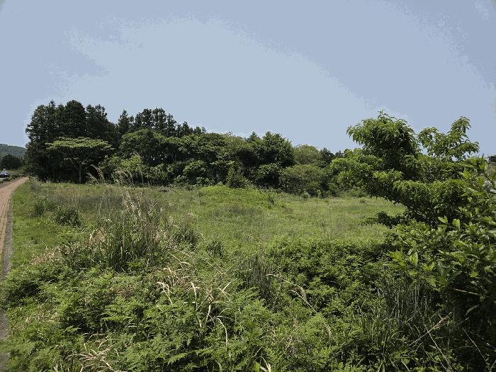 제주특별자치도 제주시 조천읍 선흘리 475-77 임야 경매 사진 2