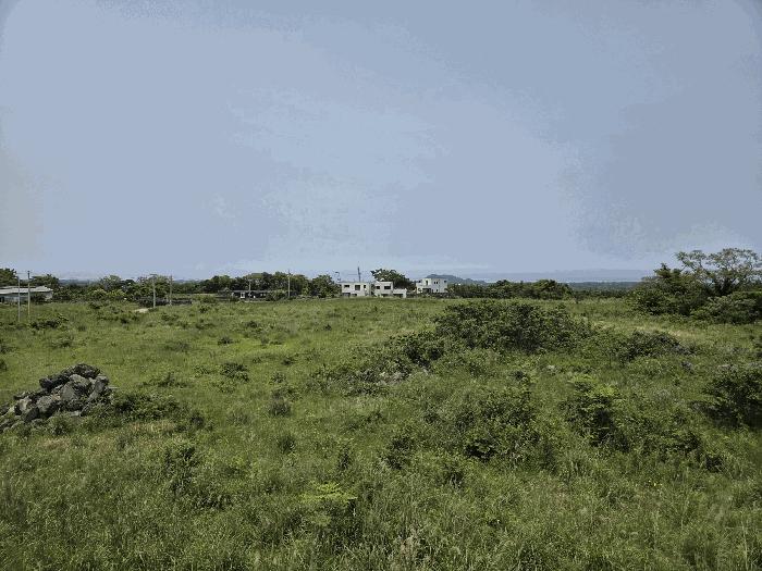 제주특별자치도 제주시 조천읍 선흘리 475-77 임야 경매 사진 9