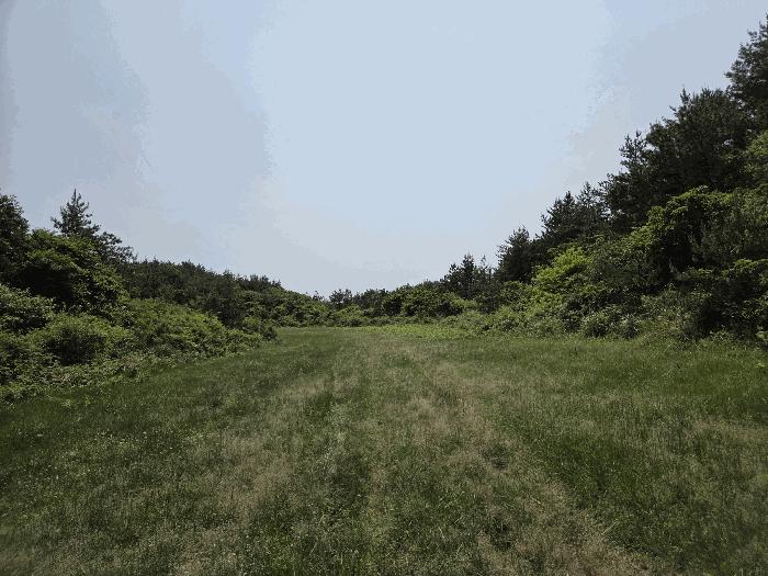 제주특별자치도 제주시 조천읍 선흘리 2153-5 목장용지 경매 사진 11