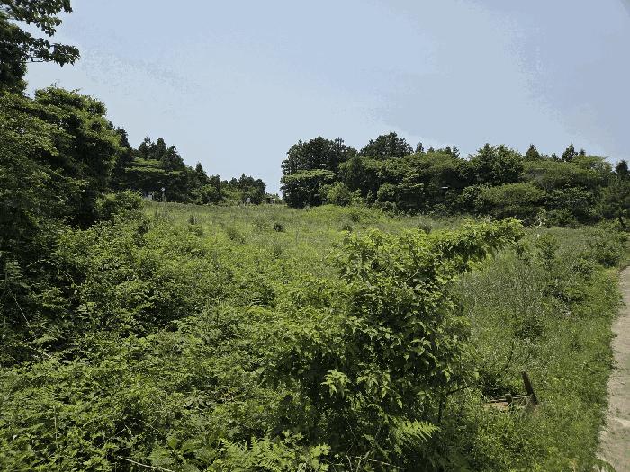 제주특별자치도 서귀포시 표선면 성읍리 1864 임야 경매 사진 19