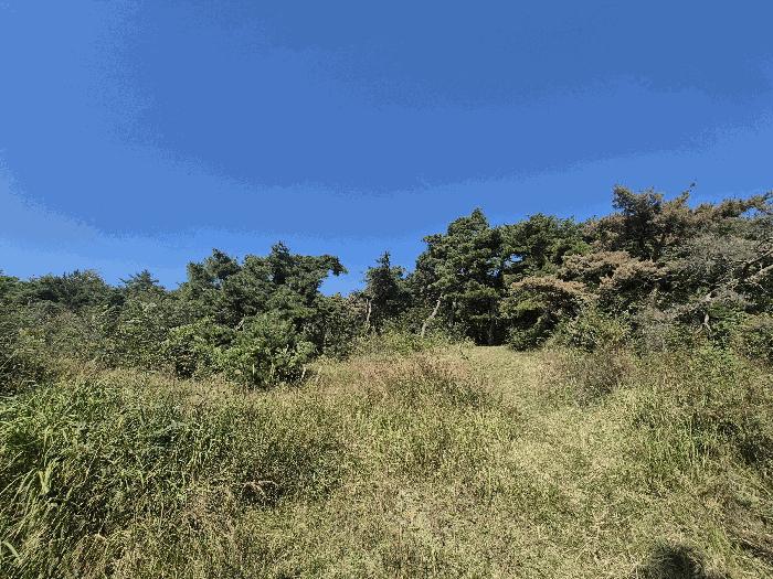 경상북도 성주군 선남면 관화리 산15 임야 경매 사진 3