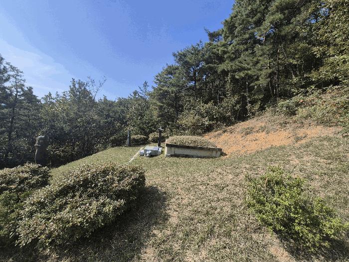 경상북도 성주군 선남면 관화리 산15 임야 경매 사진 4