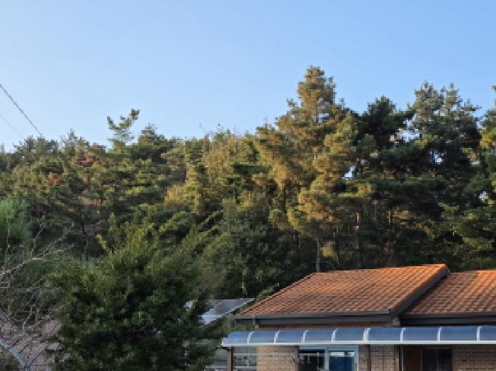 경상북도 성주군 선남면 관화리 산15 임야 경매 사진 8