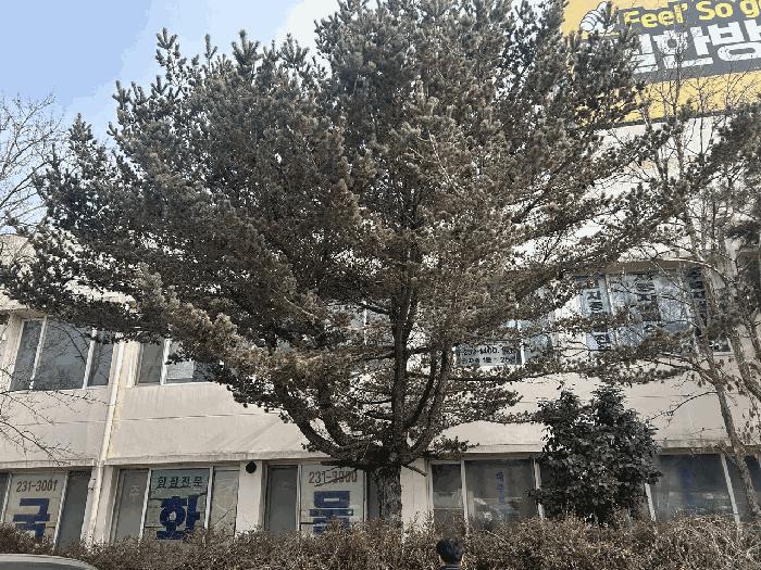 충청북도 청주시 흥덕구 지동동 476 근린시설 경매 사진 36